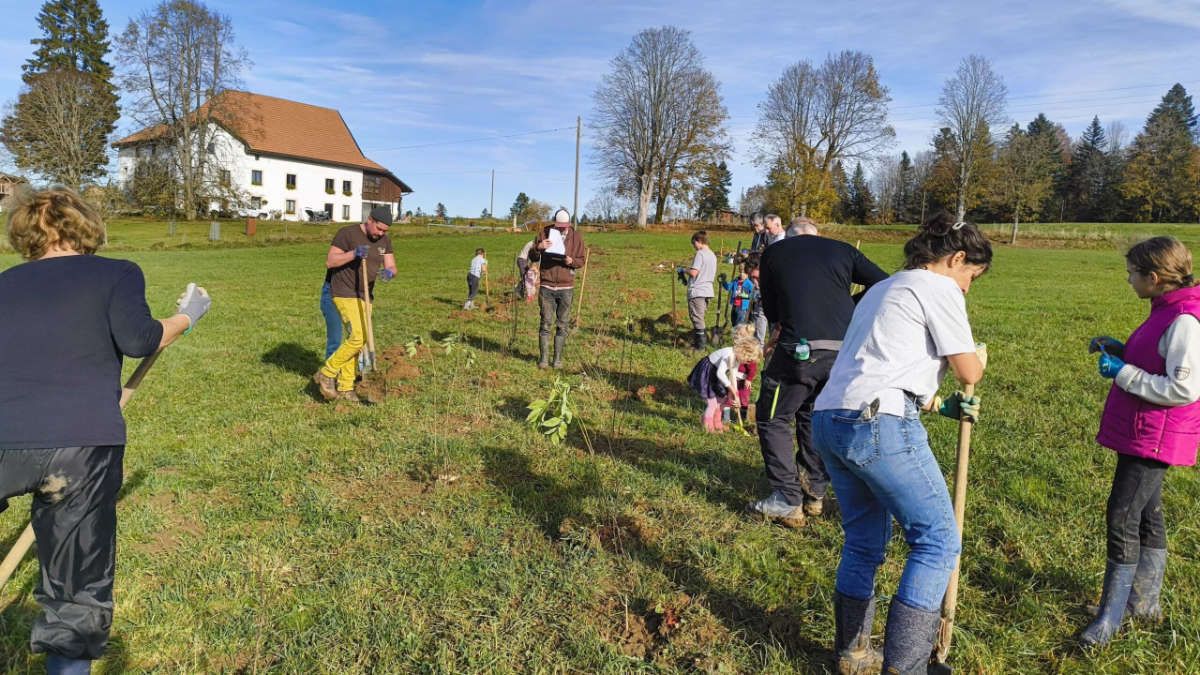 Heckentag 2025 - © heckentag.ch