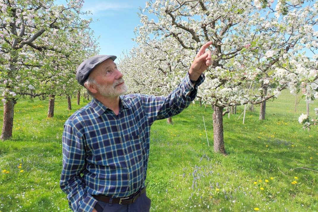 Otto Schmid im Obstgarten