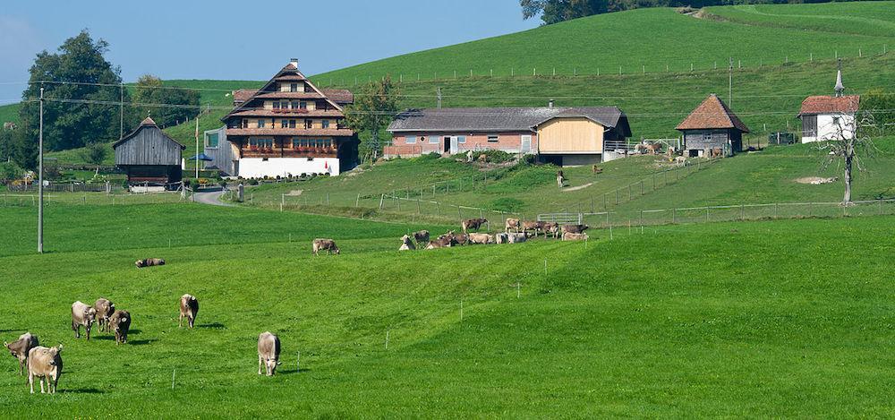 Bauernhof Schwarzenberg Scharmoos bauernhof