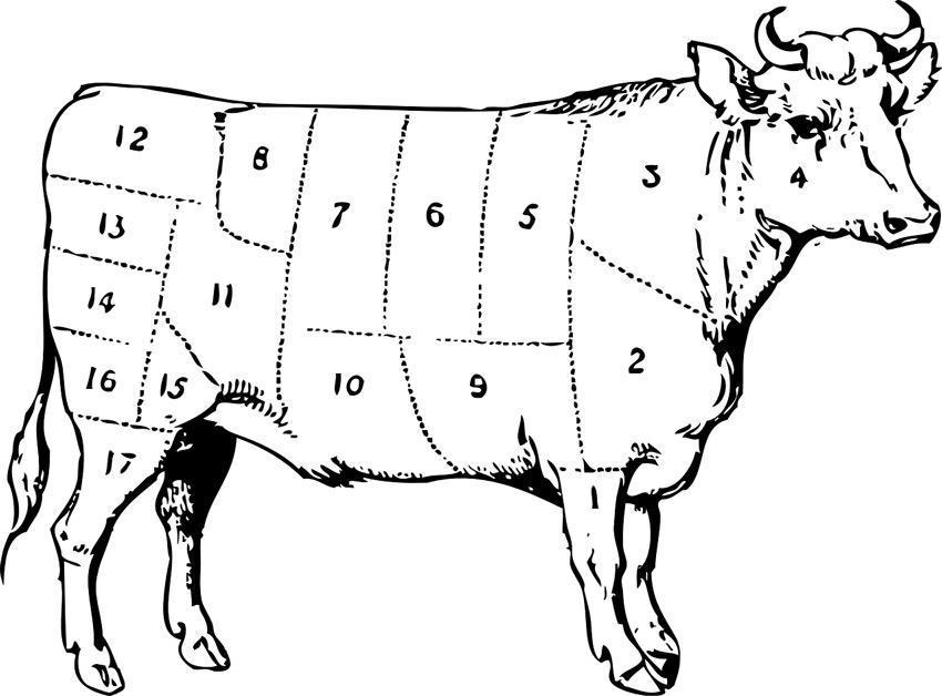 cow 31720