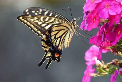 nature 3304575 480