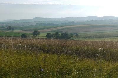 panorama