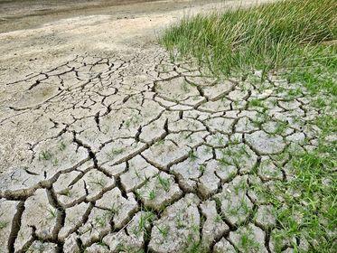 climate change 2241061
