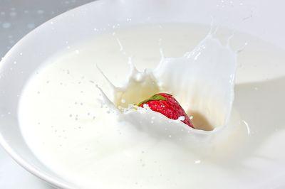 milk 4082580