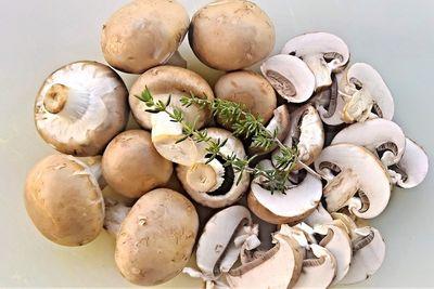 mushrooms 4510369