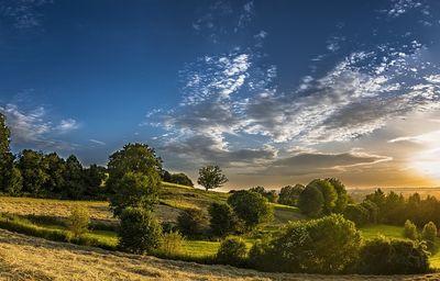panorama