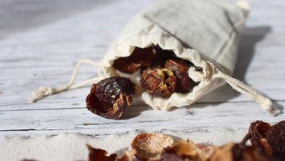 soap nuts 4032858