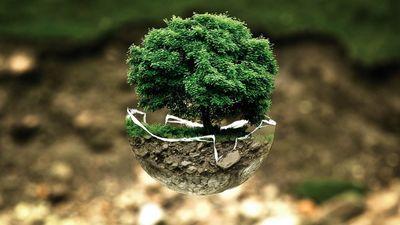 environmental protection 683437