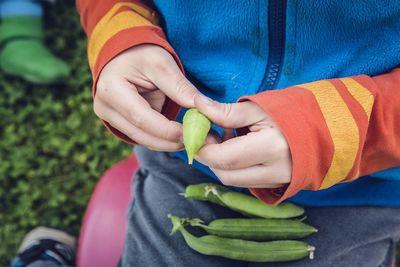 vegetables 1666643