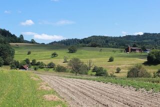 Agrarlandschaft