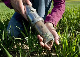 Agroscope untersuchte Boeden auf