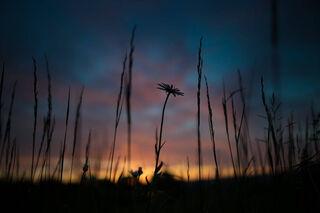 sonnenuntergang