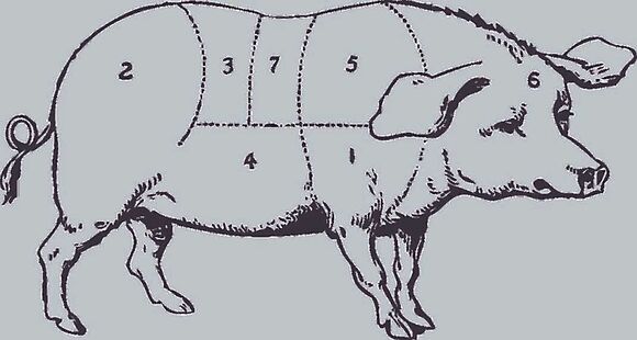 pig 47252