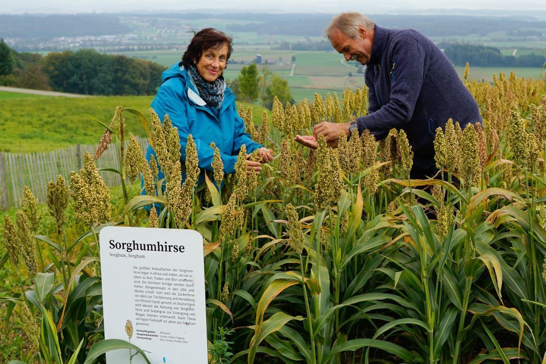 Rosmarie und Peter Zimmermann 1070