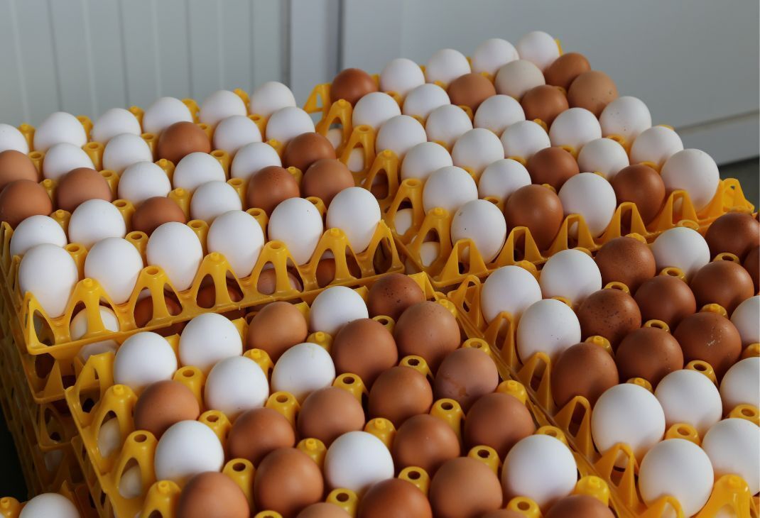 Schweizer Eier werden knapp