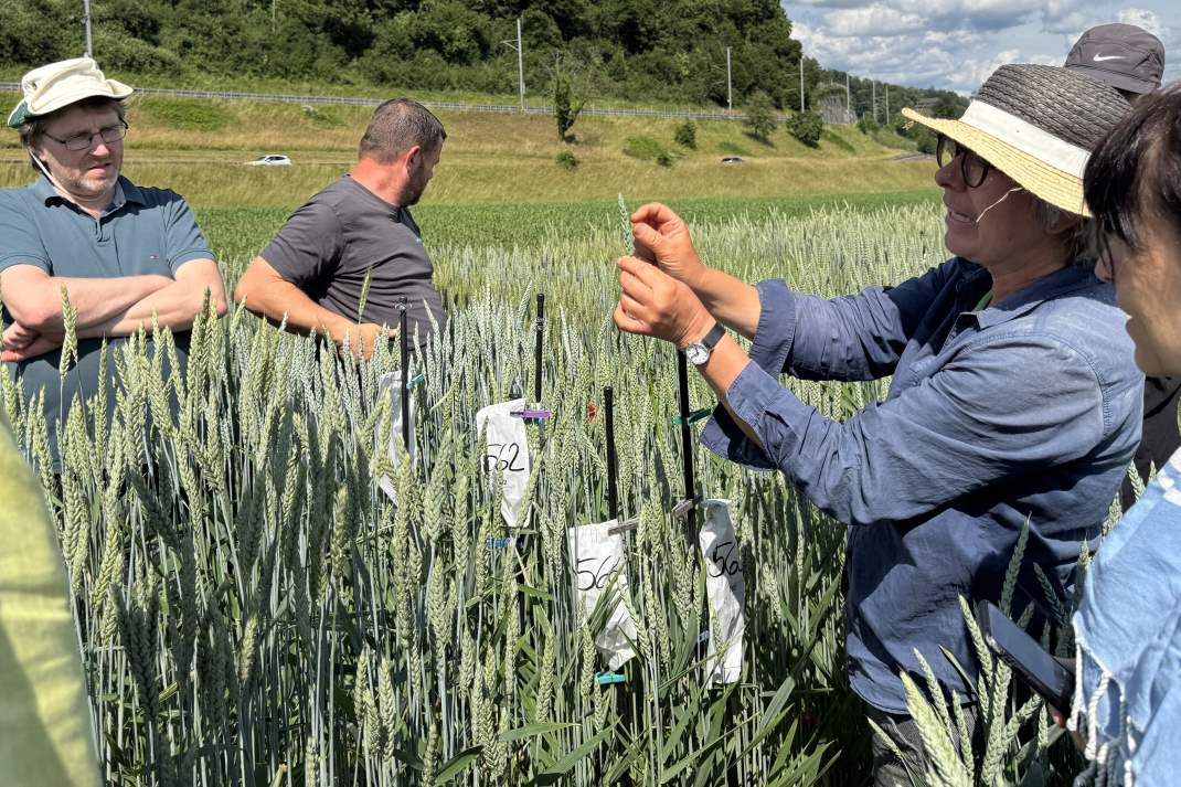 bionetz.ch mit neuem Vorstandsmitglied