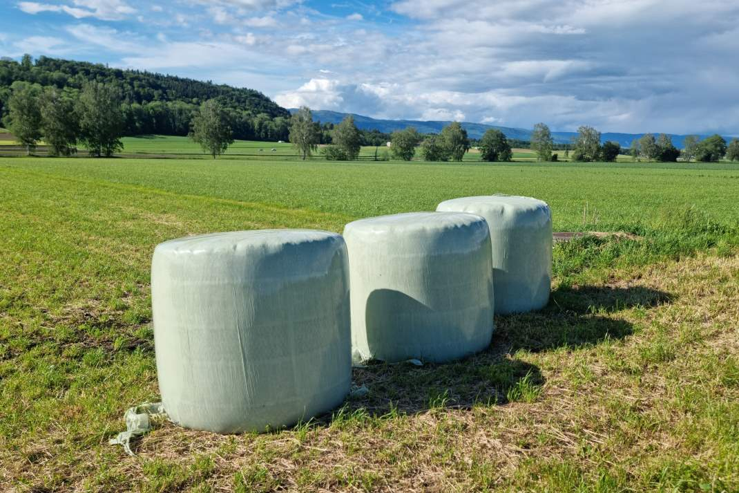 Bio-Verordnung: Mehr Spielraum beim Futterzukauf