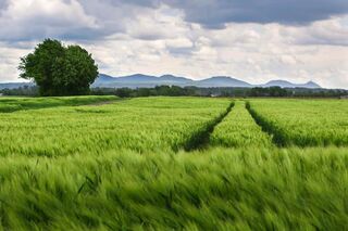 Landwirtschaft resilient und