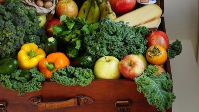 fruits 1761031