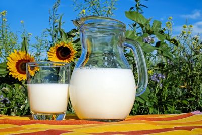 milk 2474993