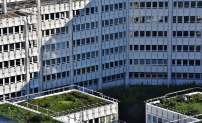 Dachbegrünung: Biodiversitätsfördernder Unterhalt