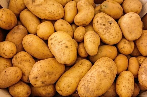 kartoffeln