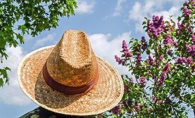 hat 1379590