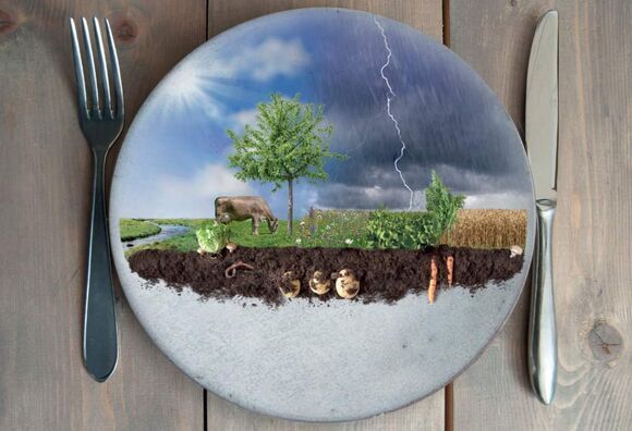 klimastrategie blw bsv bafu
