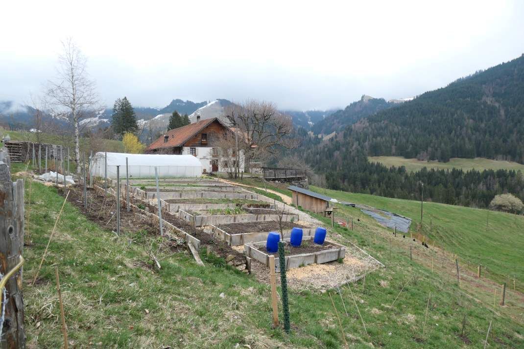 Bio Cuisine will hoch hinaus
