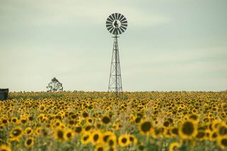 Bio Landwirtschaft