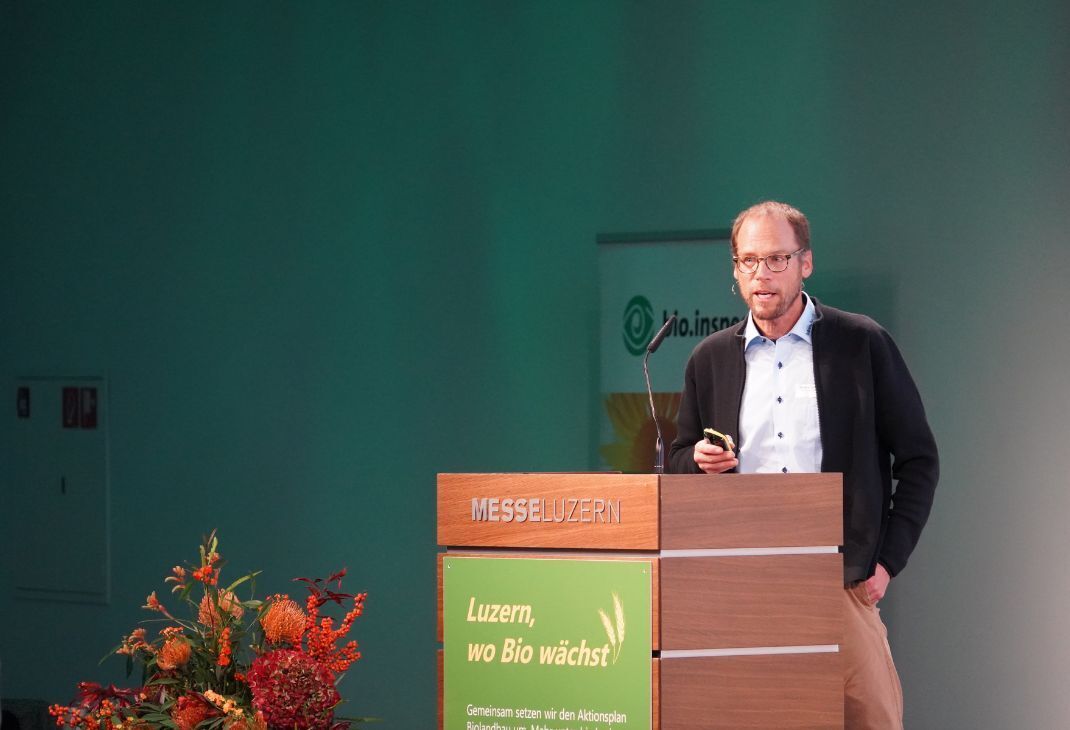 Mitschwimmen im Mainstream