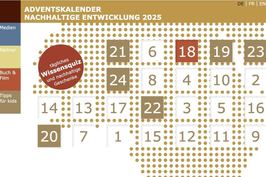 Adventskalender mit 24 nachhaltigen Geschenkideen