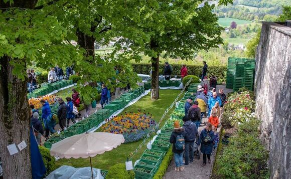 ProSpecieRara Setzlingsmarkt