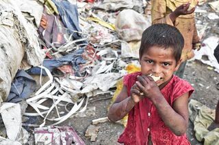 Am Hunger sind wir