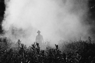 fog 918976