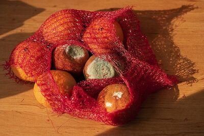 fruits 5089628