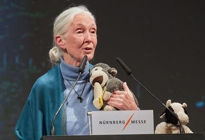 biofachqylz519s69
