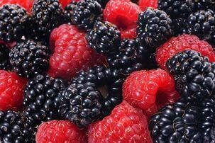 Bio Brombeeren und
