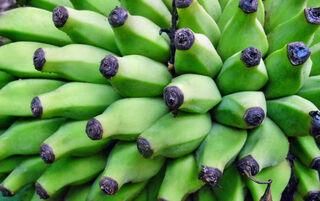 bananen
