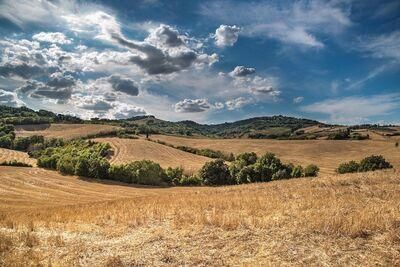 hill 2165759