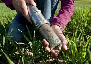 Agroscope untersuchte Boeden auf