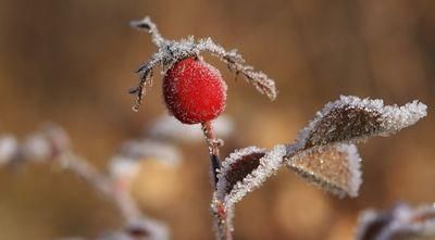 winter 3054712