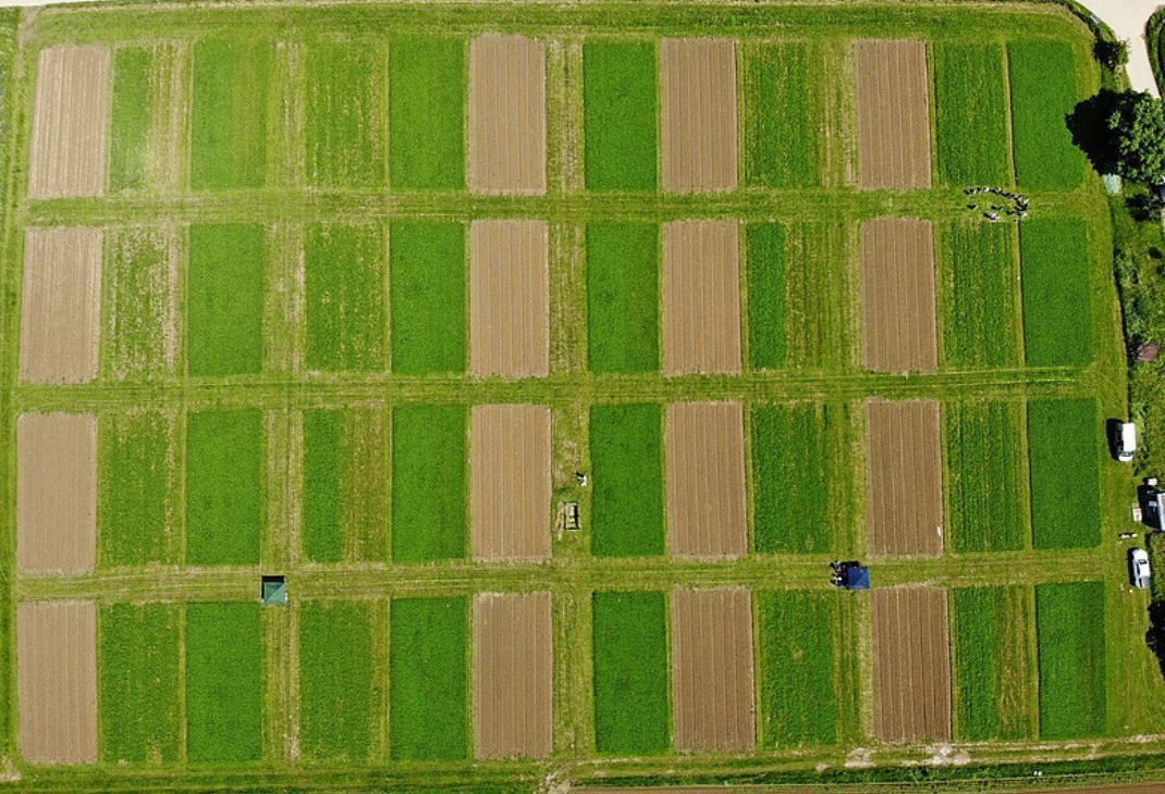 Bio-Landwirtschaft erweist sich als effizient