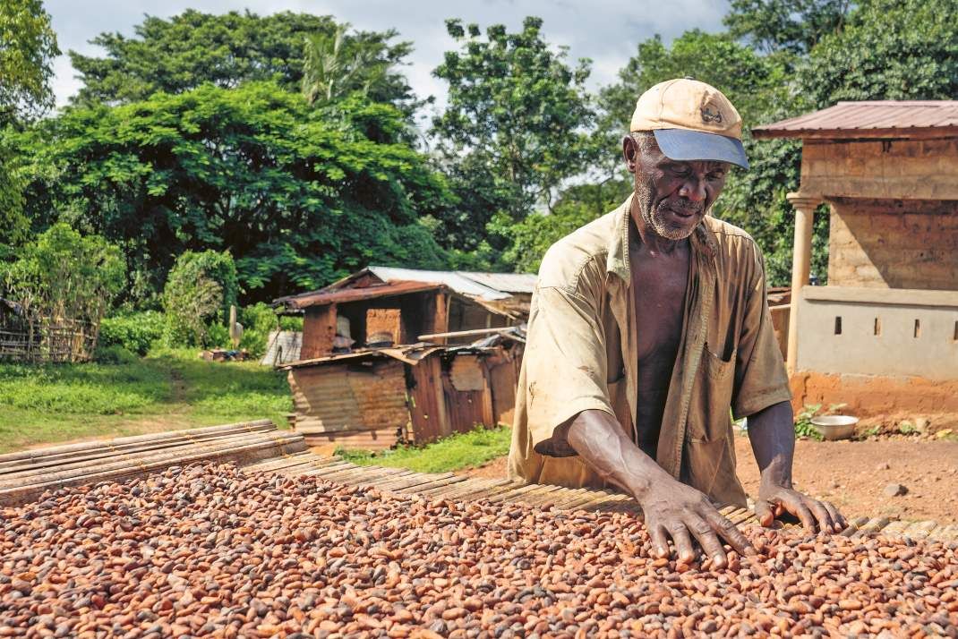 Gebana will Schokolade in Togo produzieren