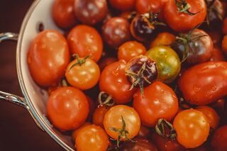 Bio Tomaten