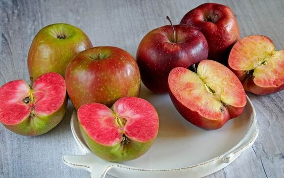 apples 5780537
