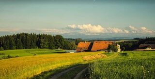 Katzhof