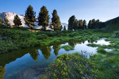 arve aletsch