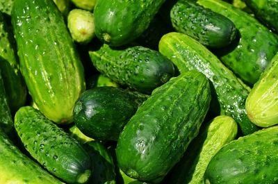 cucumbers 849269