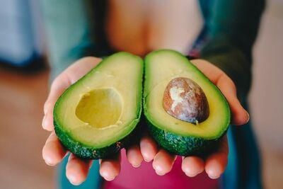 avocado 2115922